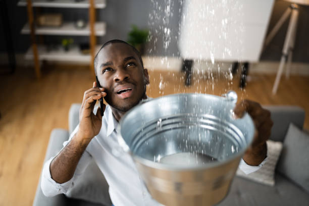 Best Residential water damage restoration  in Cedar Rapids, IA