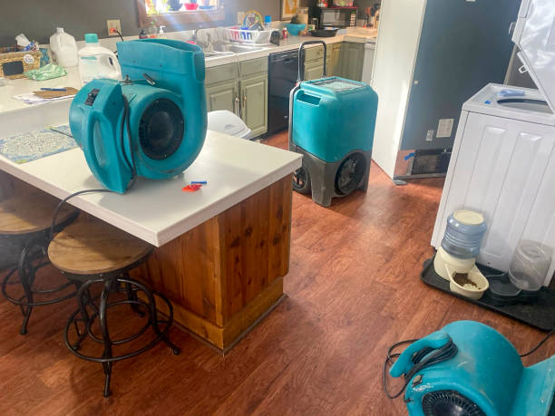 Best Carpet water damage restoration  in Cedar Rapids, IA