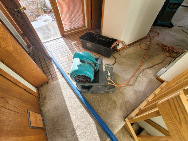 Best Commercial water damage restoration  in Cedar Rapids, IA