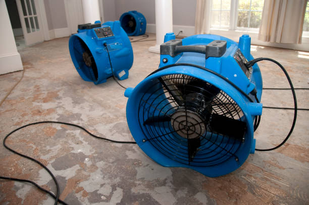 Water damage restoration process in IA