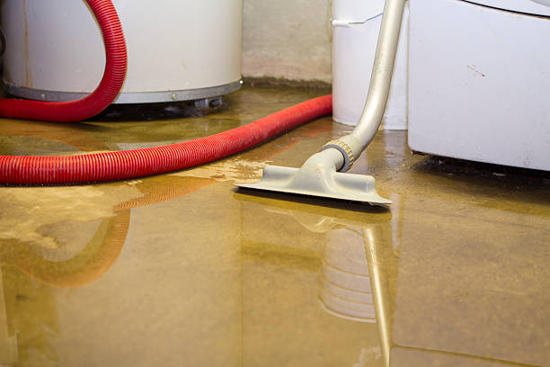 Best Carpet water damage restoration  in Cedar Rapids, IA