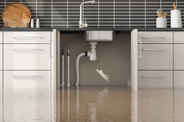 Best Water damage restoration process  in Cedar Rapids, IA